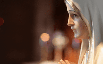 Tratado de la verdadera devoción | Luis María Grignion de Montfort – Libros sobre la Virgen María